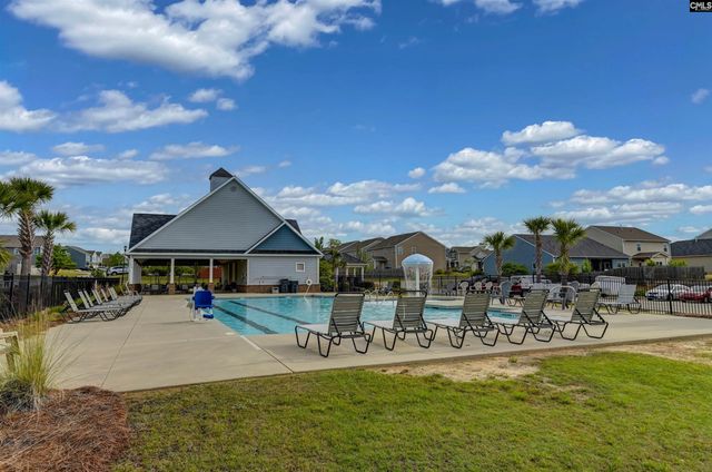 1304 Canopy Crest Lane, Chapin, SC 29036