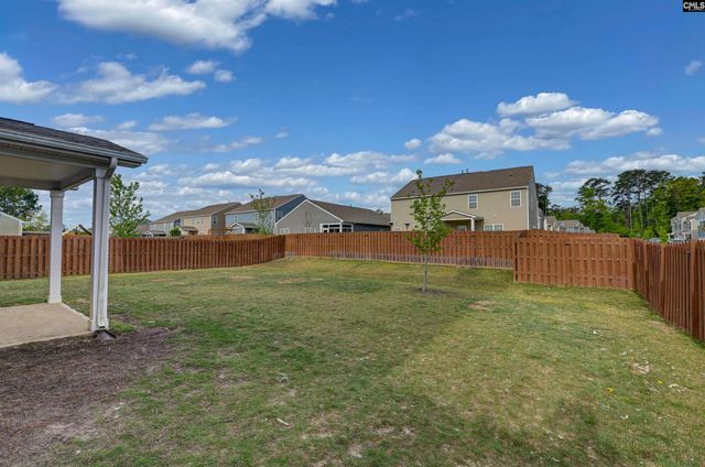 1304 Canopy Crest Lane, Chapin, SC 29036