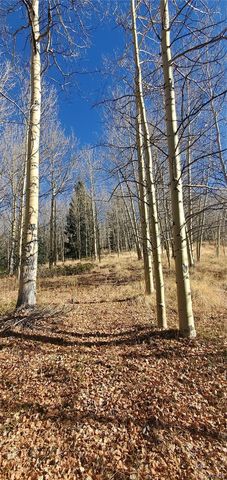 Lot's 6414 & 6415 Bronfman Road, Fort Garland, CO 81133