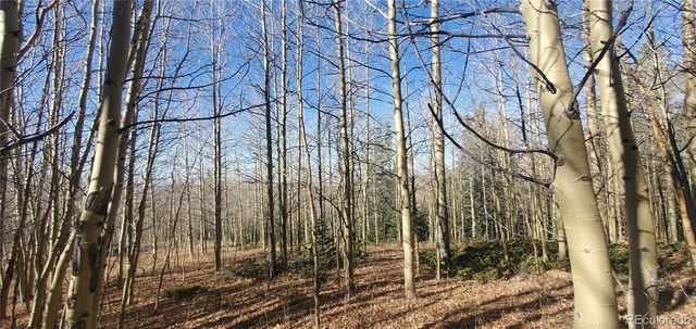 Lot's 6414 & 6415 Bronfman Road, Fort Garland, CO 81133