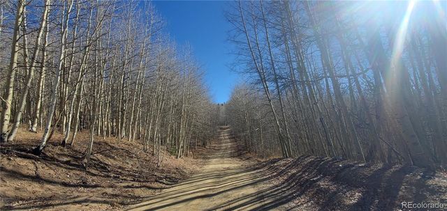 Lot's 6414 & 6415 Bronfman Road, Fort Garland, CO 81133