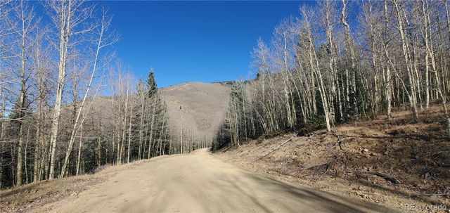 Lot's 6414 & 6415 Bronfman Road, Fort Garland, CO 81133