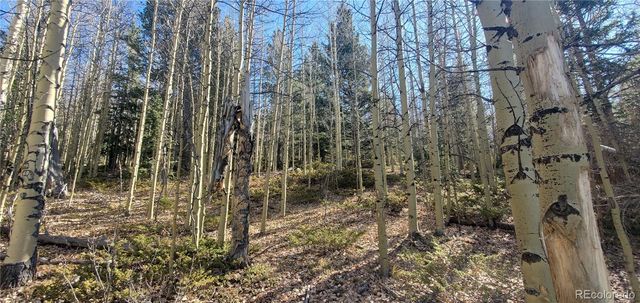 Lot's 6414 & 6415 Bronfman Road, Fort Garland, CO 81133