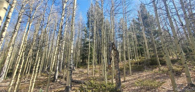 Lot's 6414 & 6415 Bronfman Road, Fort Garland, CO 81133