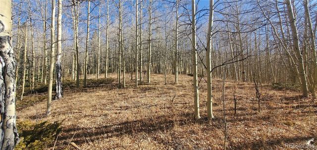 Lot's 6414 & 6415 Bronfman Road, Fort Garland, CO 81133