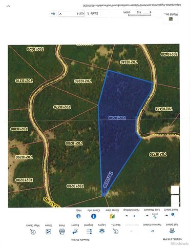 Lot's 6414 & 6415 Bronfman Road, Fort Garland, CO 81133