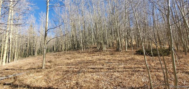 Lot's 6414 & 6415 Bronfman Road, Fort Garland, CO 81133