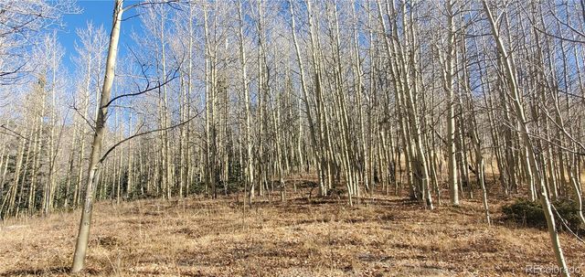 Lot's 6414 & 6415 Bronfman Road, Fort Garland, CO 81133