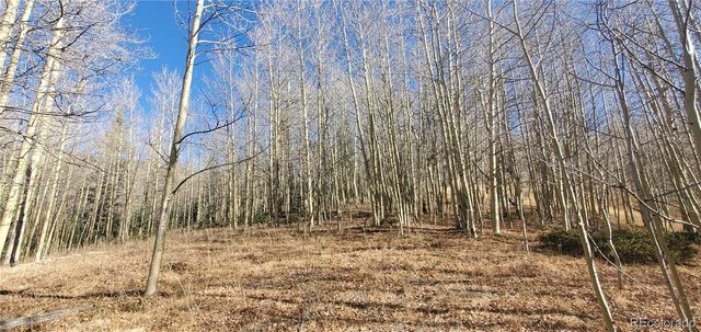 Lot's 6414 & 6415 Bronfman Road, Fort Garland, CO 81133