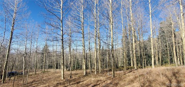 Lot's 6414 & 6415 Bronfman Road, Fort Garland, CO 81133