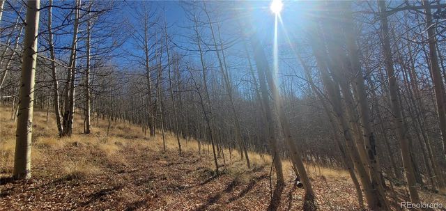 Lot's 6414 & 6415 Bronfman Road, Fort Garland, CO 81133