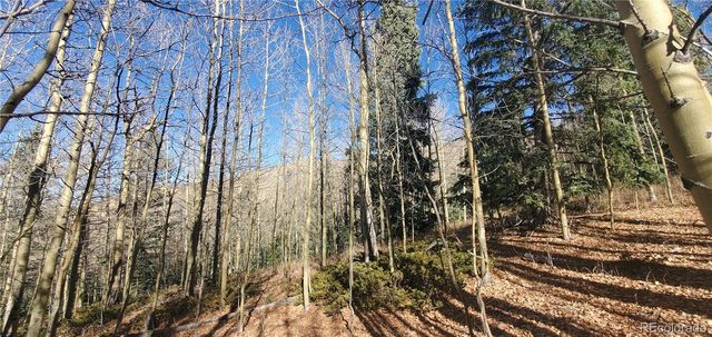 Lot's 6414 & 6415 Bronfman Road, Fort Garland, CO 81133