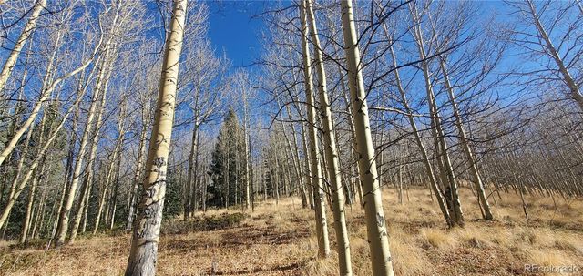 Lot's 6414 & 6415 Bronfman Road, Fort Garland, CO 81133