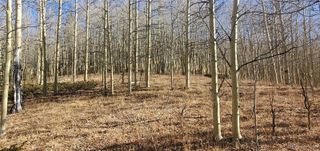 Lot's 6414 & 6415 Bronfman Road, Fort Garland, CO 81133