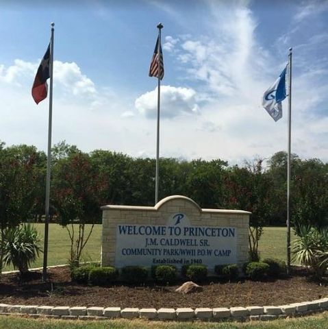 1703 Sorghum Drive, Princeton, TX 75407