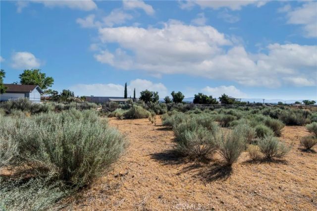 8623 Gobi Road, Phelan, CA 92371