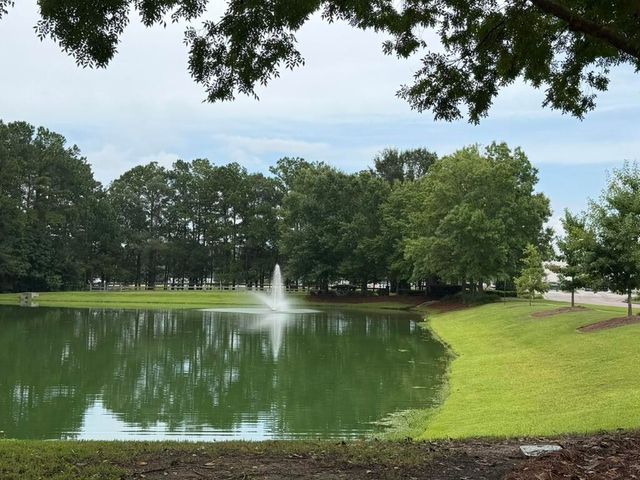 246 Woodbrook Way, Moncks Corner, SC 29461
