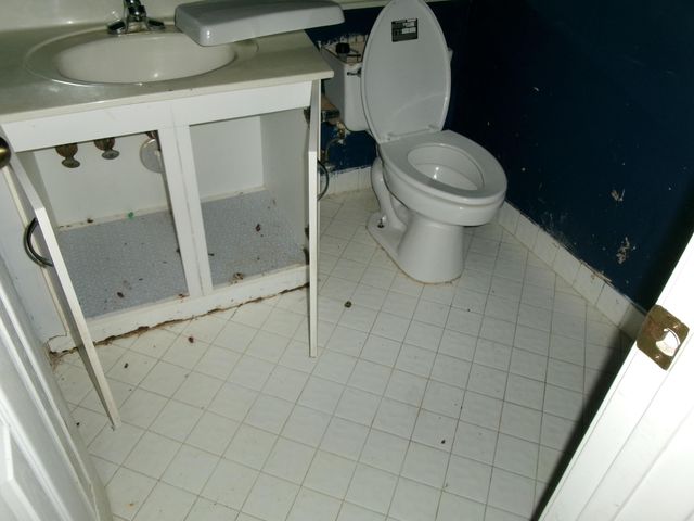 149 Cameron Drive, Weston, FL 33326