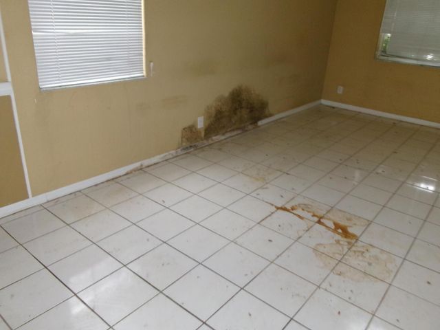 149 Cameron Drive, Weston, FL 33326