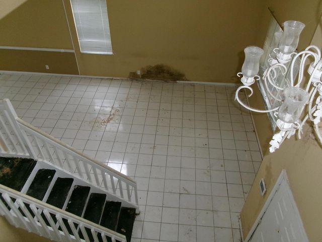 149 Cameron Drive, Weston, FL 33326