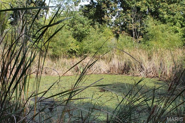 180 Harris Road, Montgomery City, MO 63361