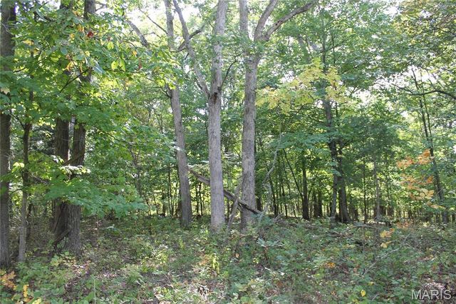 180 Harris Road, Montgomery City, MO 63361