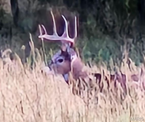 180 Harris Road, Montgomery City, MO 63361