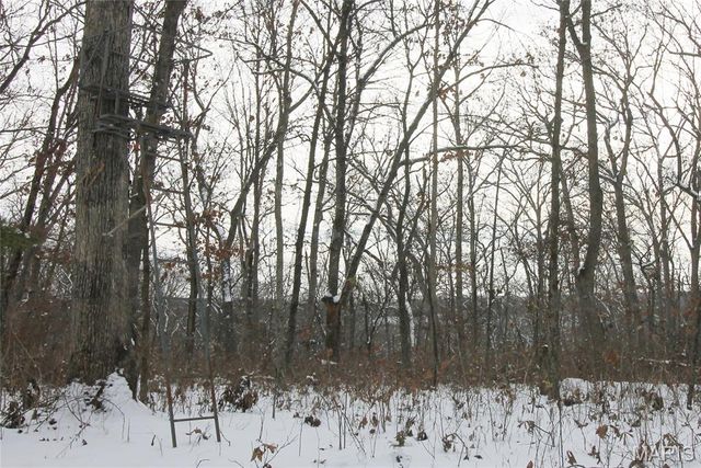 180 Harris Road, Montgomery City, MO 63361