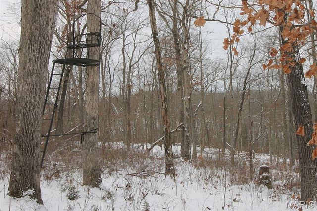 180 Harris Road, Montgomery City, MO 63361