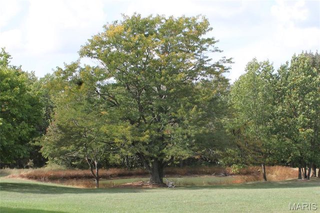 180 Harris Road, Montgomery City, MO 63361