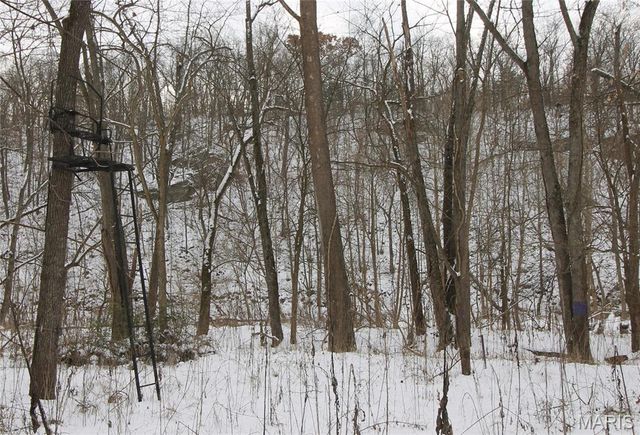 180 Harris Road, Montgomery City, MO 63361