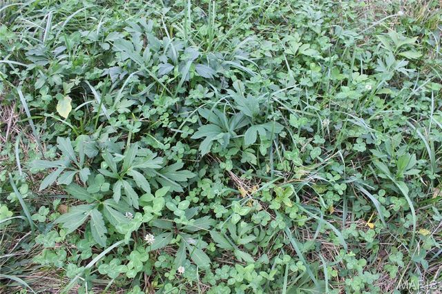 180 Harris Road, Montgomery City, MO 63361