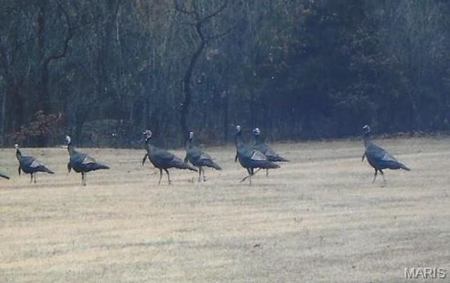 180 Harris Road, Montgomery City, MO 63361