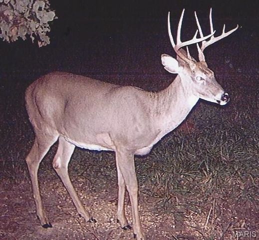 180 Harris Road, Montgomery City, MO 63361