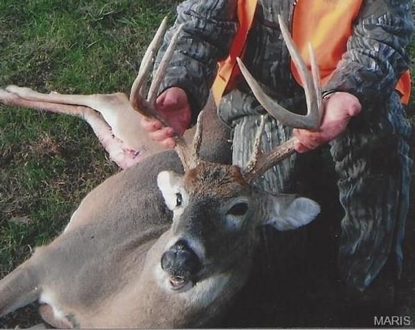 180 Harris Road, Montgomery City, MO 63361