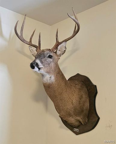 180 Harris Road, Montgomery City, MO 63361