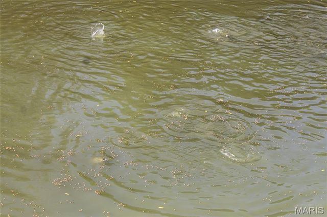 180 Harris Road, Montgomery City, MO 63361