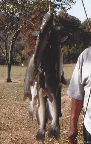 180 Harris Road, Montgomery City, MO 63361