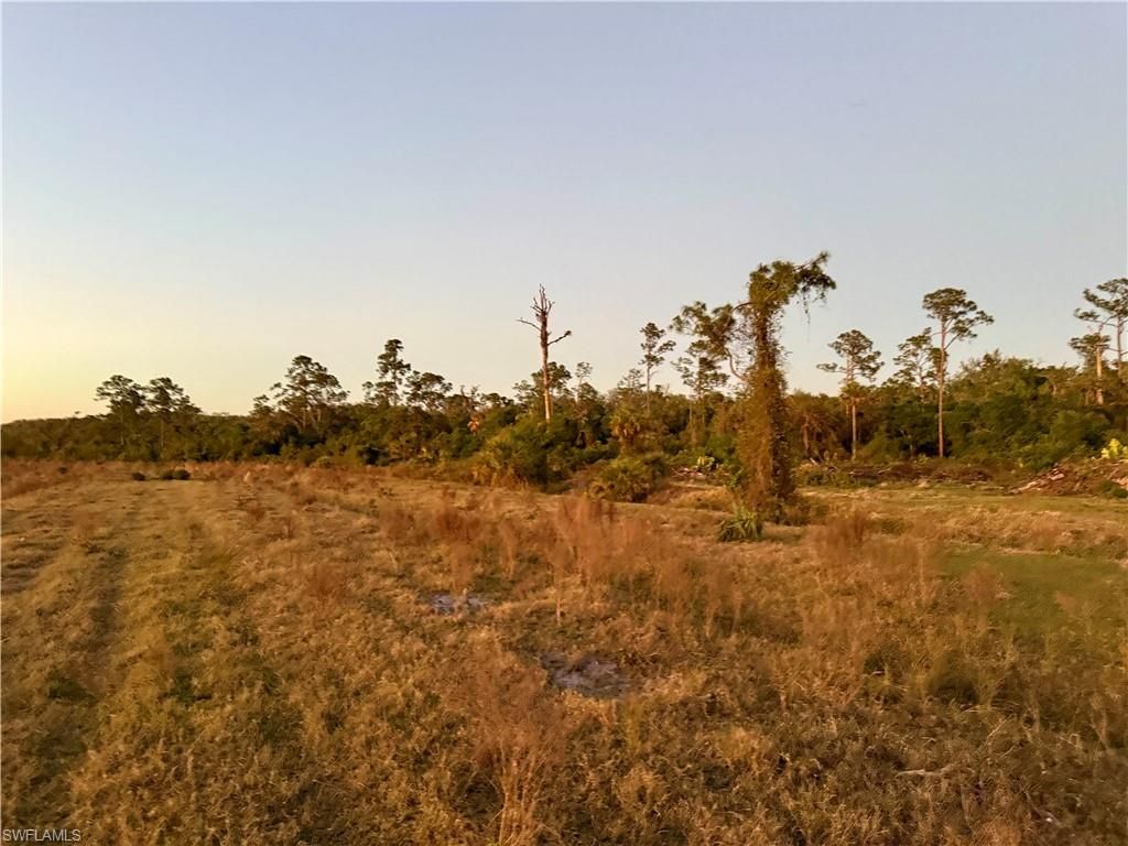 Secretariat DR, LABELLE, FL 33935 — photo 4