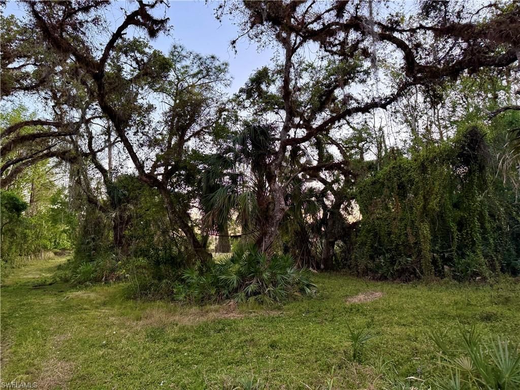 Secretariat DR, LABELLE, FL 33935 — photo 5