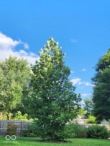 462 San Carlos Drive, Greenwood, IN 46142