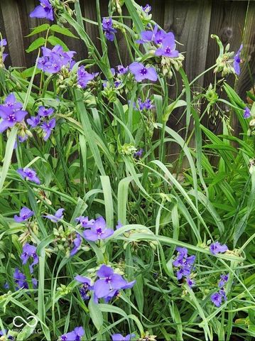 462 San Carlos Drive, Greenwood, IN 46142