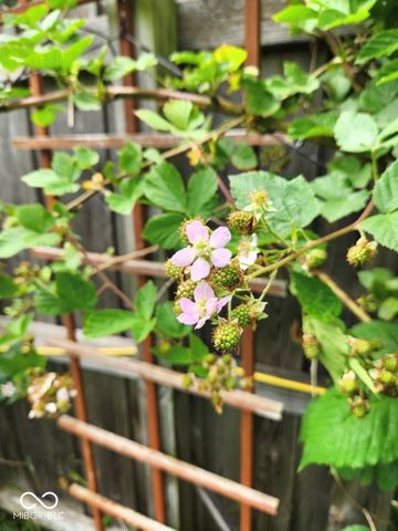 462 San Carlos Drive, Greenwood, IN 46142