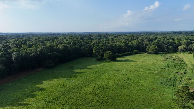 161 Hopkins Bridge Rd, Unionville, TN 37180