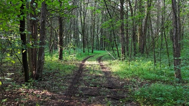 161 Hopkins Bridge Rd, Unionville, TN 37180