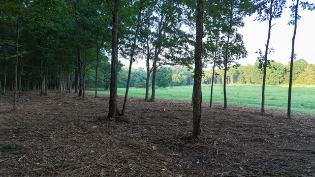 161 Hopkins Bridge Rd, Unionville, TN 37180