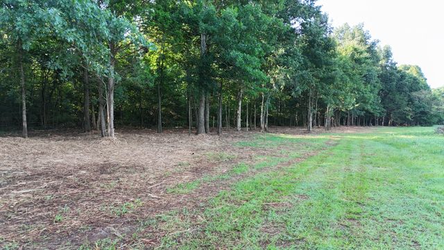 161 Hopkins Bridge Rd, Unionville, TN 37180