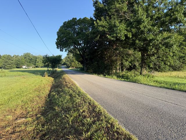 161 Hopkins Bridge Rd, Unionville, TN 37180