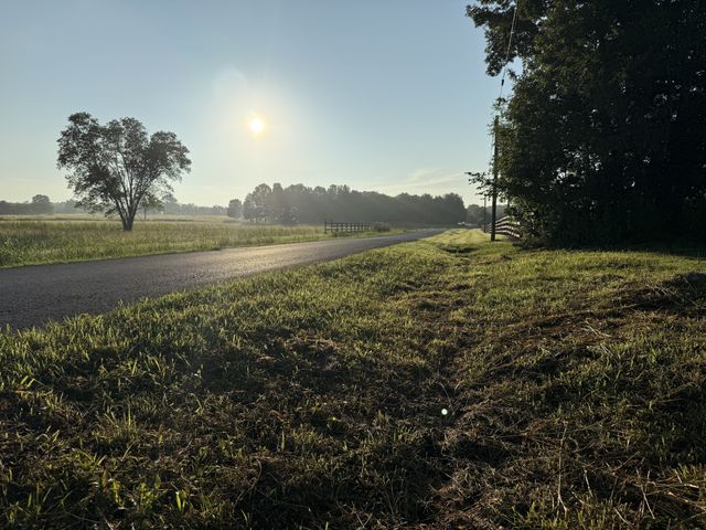 161 Hopkins Bridge Rd, Unionville, TN 37180