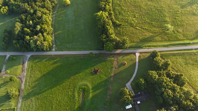 161 Hopkins Bridge Rd, Unionville, TN 37180